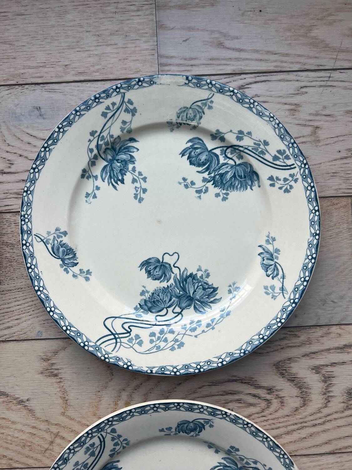 Royat Sarreguemines model flat plates
