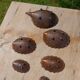Vintage patinated metal hedgehog ashtrays – Greece