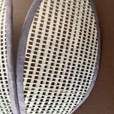 Lotus flower canning wall lamp