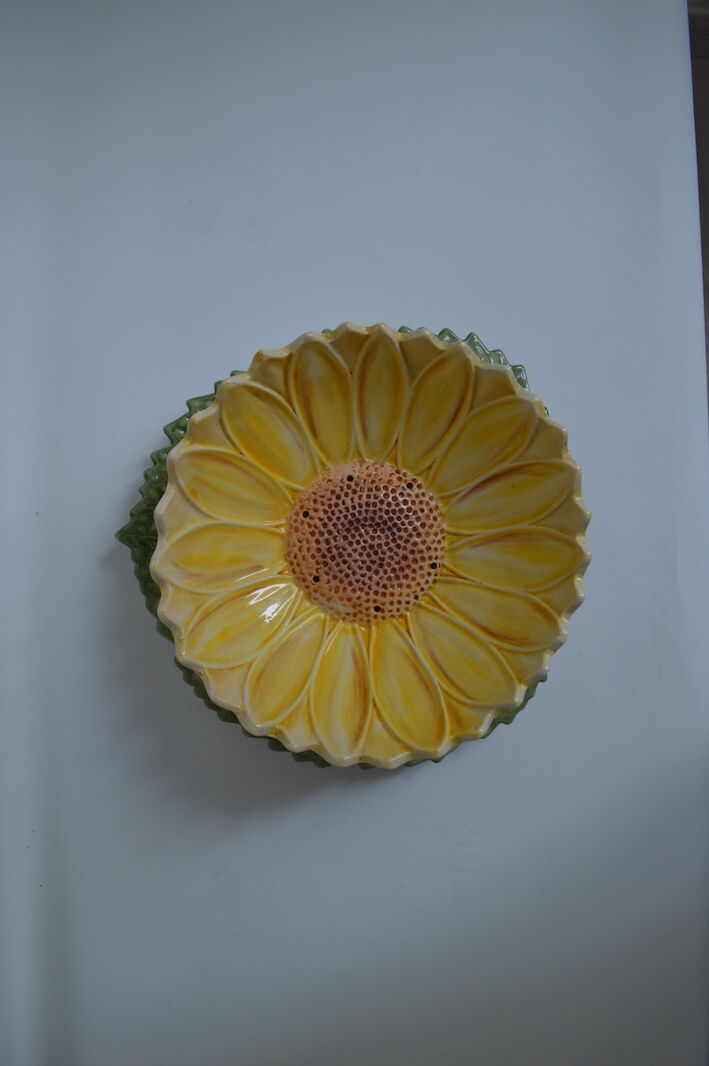 Salad bowl sunflower drainer in slip