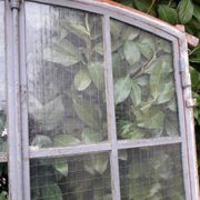 Window L107xH174 industrial curved metal glass roof frame reinforced glass