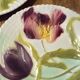 Set of 3 St Clément flower slip plates