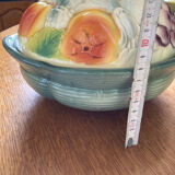 Salad bowl fruit basket slurry saint clément