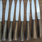Ensemble de 12 couteaux manches en corne