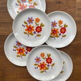 6 old flat plates in French earthenware Moulin des loups