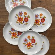 6 old flat plates in French earthenware Moulin des loups