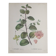 Botanical board from capparis vintage 60s