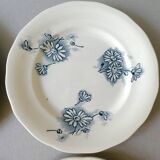 Set of 8 flat plates, Givors faience, daisy model