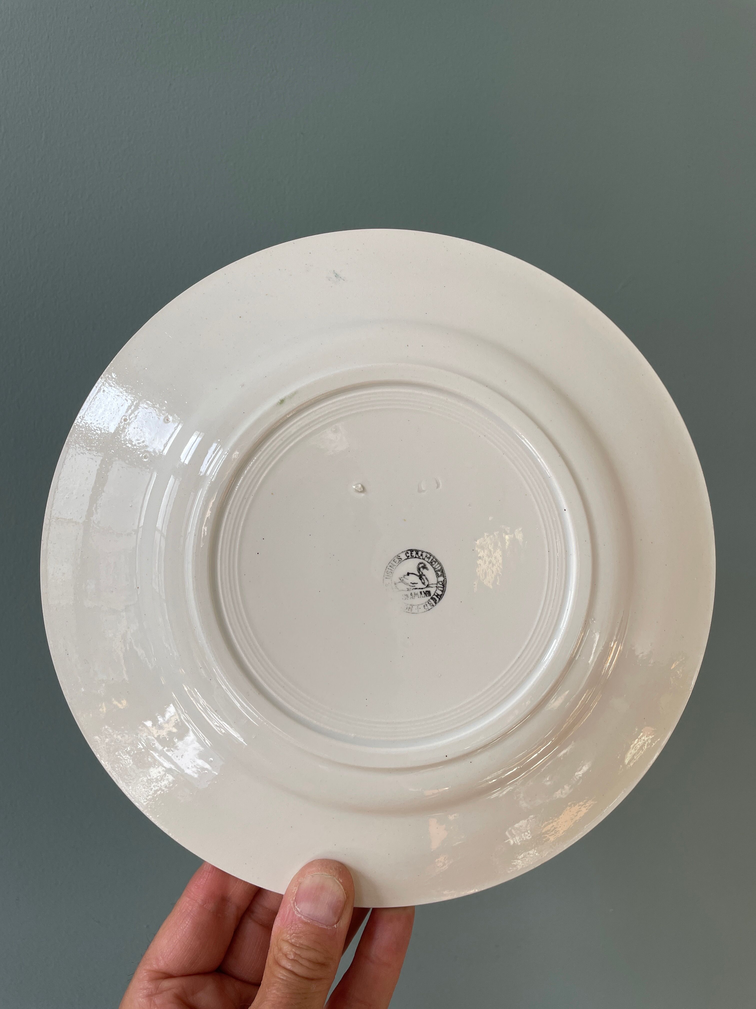 Set of 12 old flat plates in St Amand earthenware
