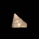 Troca shell decoration 8cm polished pearly Trocca Trochus decoration sea beach vintage old