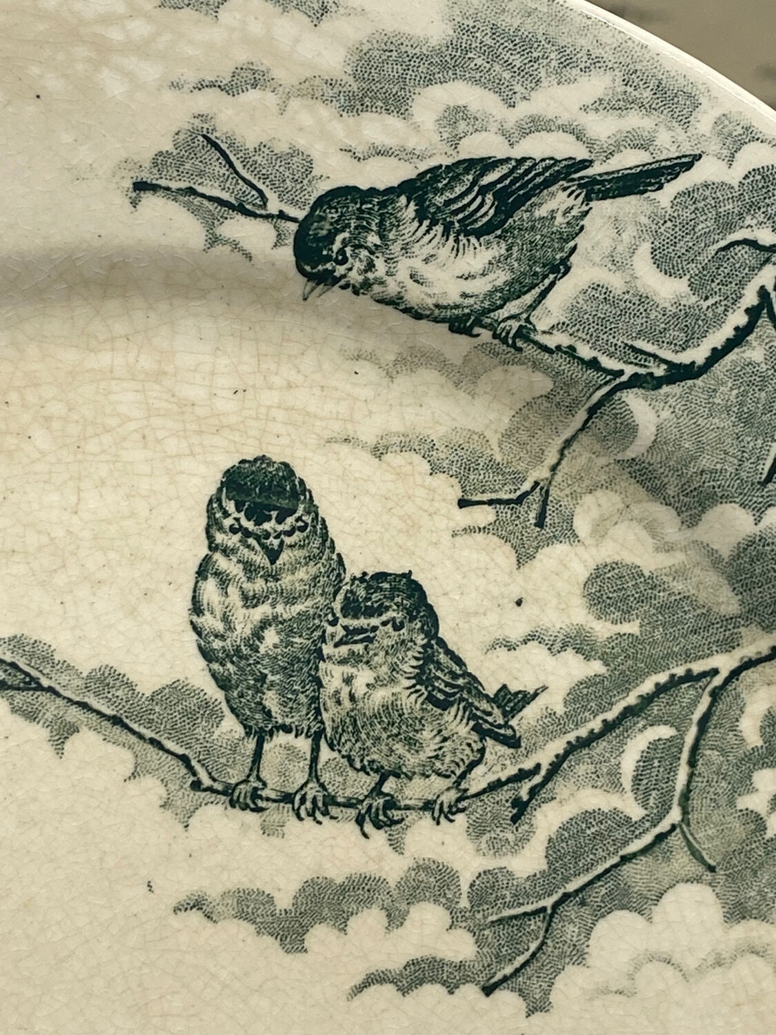 Service of old flat plates, Sarreguemines, birds,