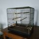 Cage à oiseaux