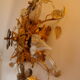 Vintage wall lamp or ceiling lamp in golden metal, glass flowers