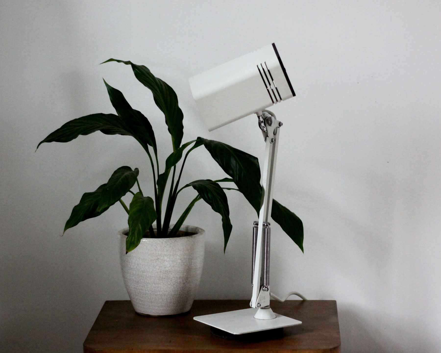 Fase articulated lamp
