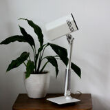 Fase articulated lamp