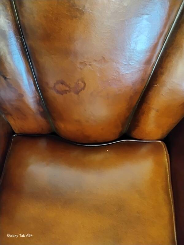 Club chair with floral backrest