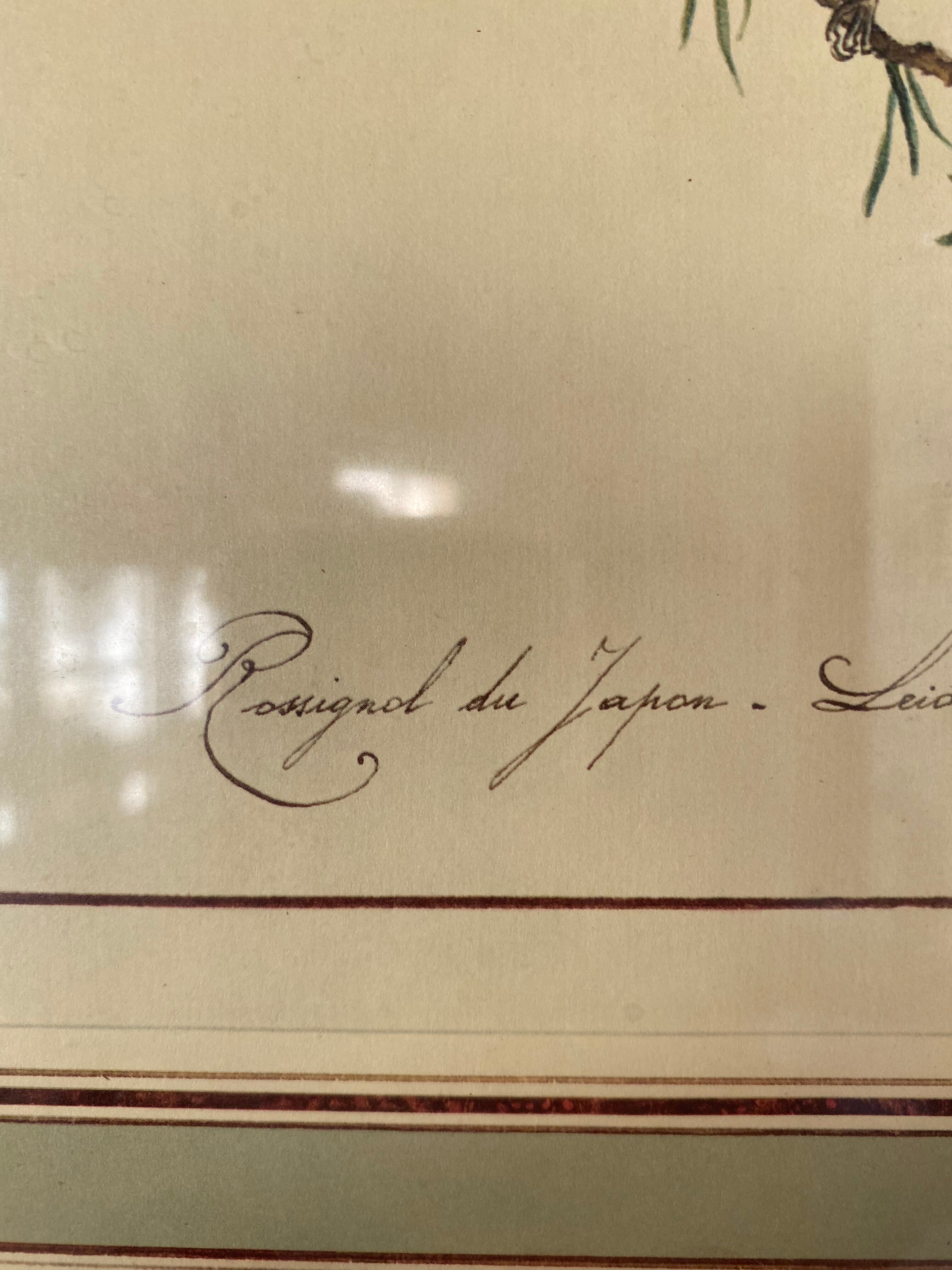 Lithographic frame Nightingale of Japan.