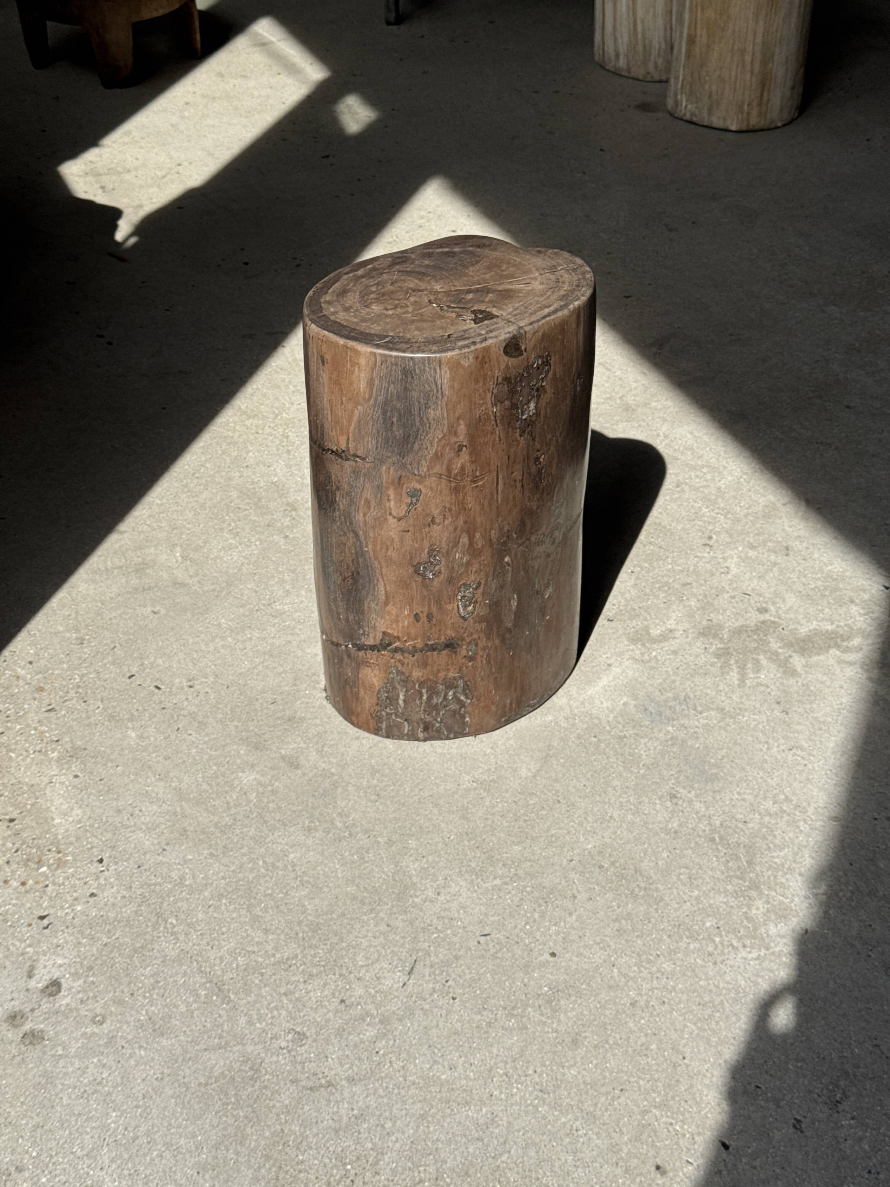 Table d'appoint en bois pétrifié brune H46 D29 - 3338