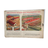 Educational poster pig's animal farm agricultural exhibition 1950