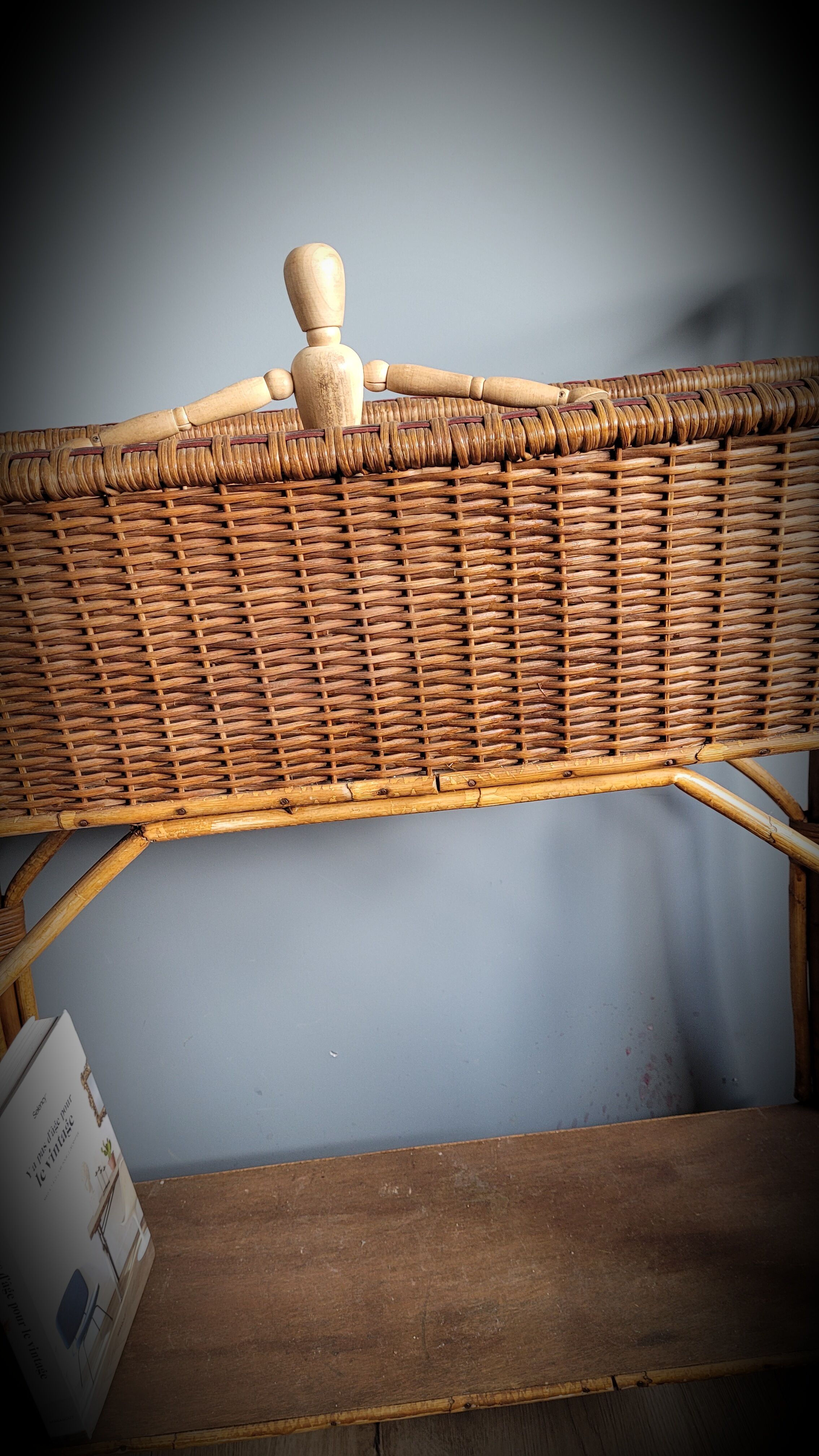 Planter door rattan plant