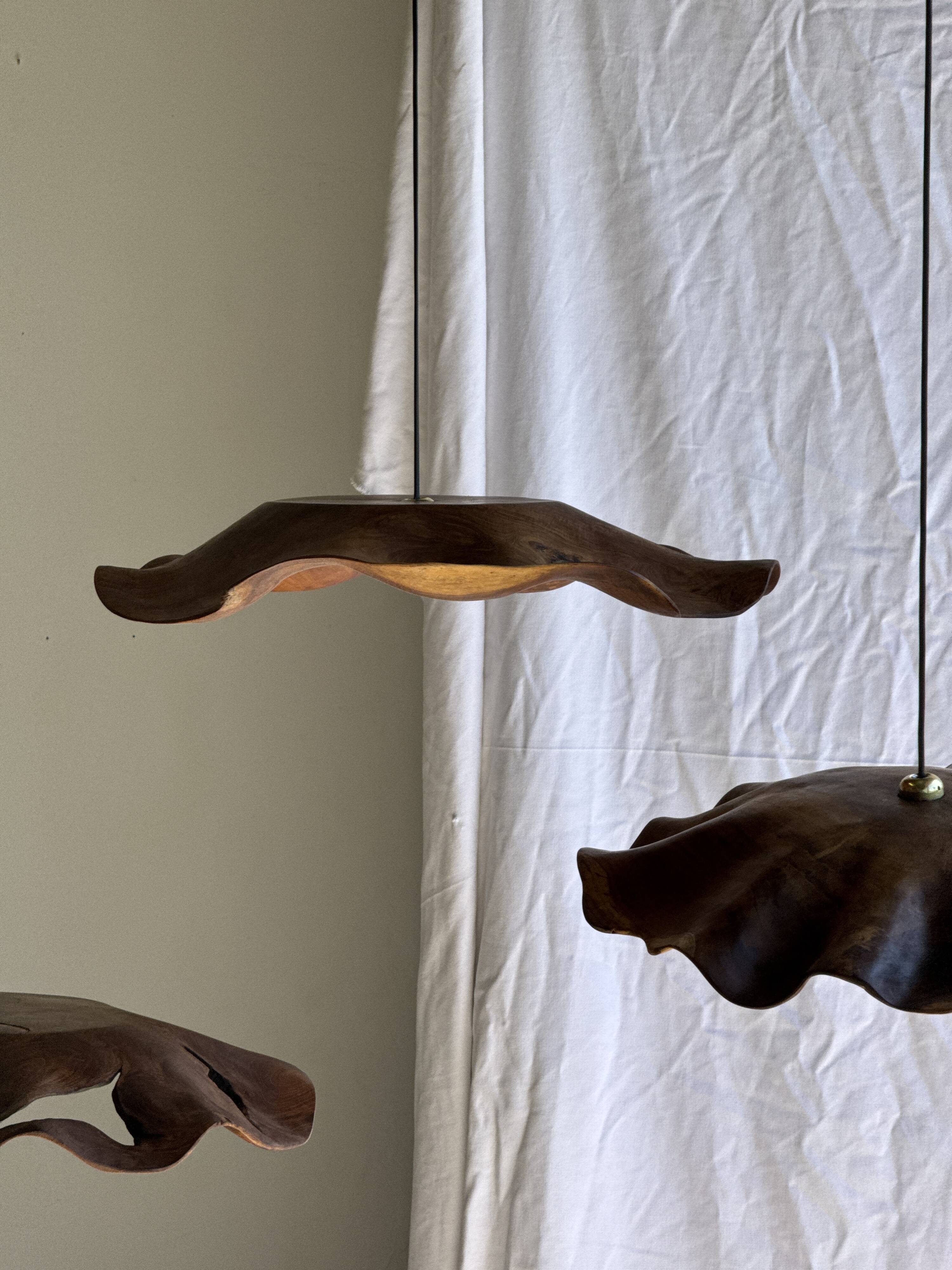 Very large wavy flat leaf suspension in smooth teak D:60