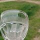 Saint Louis White wine glass or port Crystal cut Trianon circa 1840