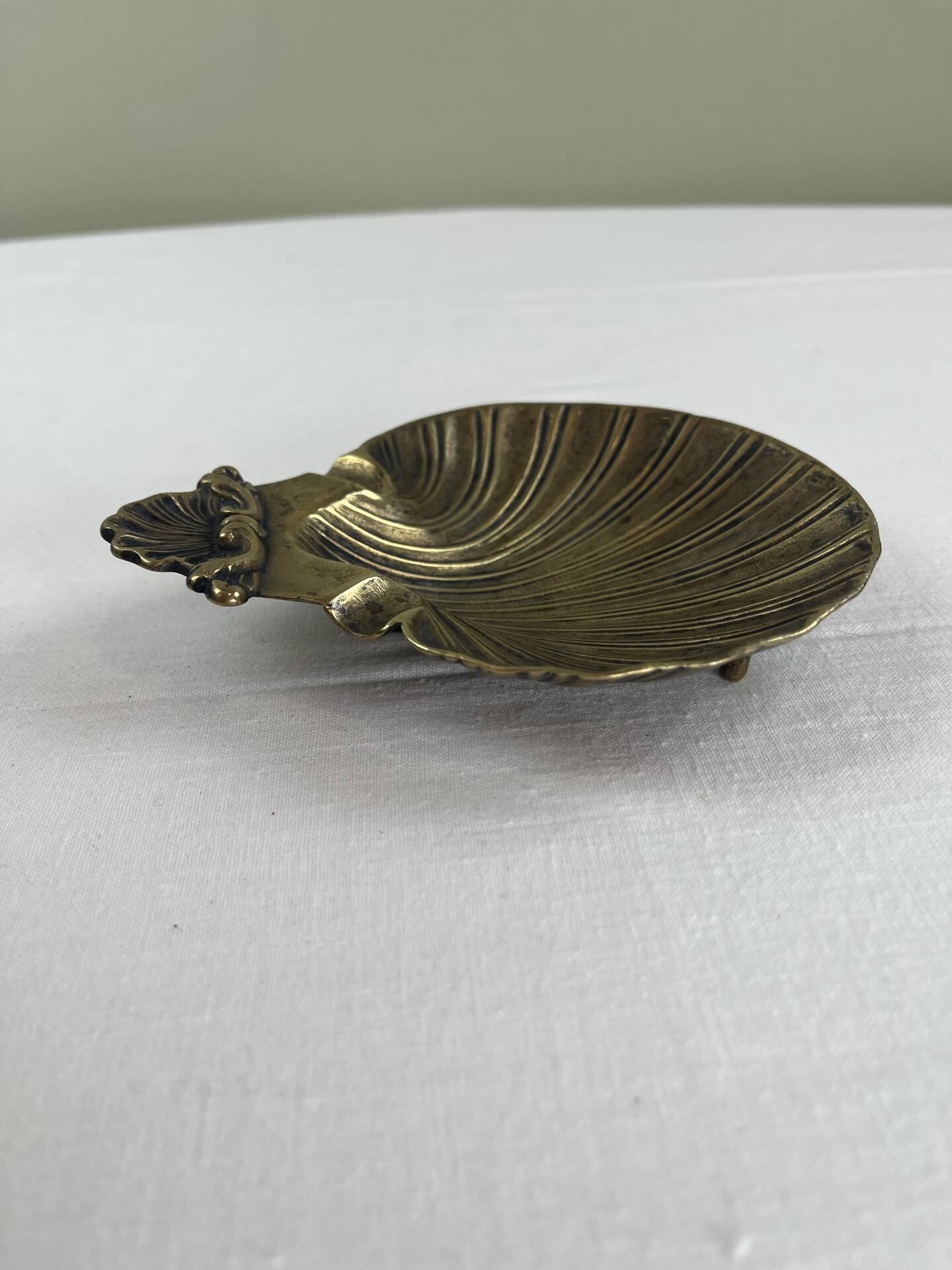 Shell-shaped catch-all tray