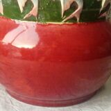 Faience pot cover slip decor fish garland