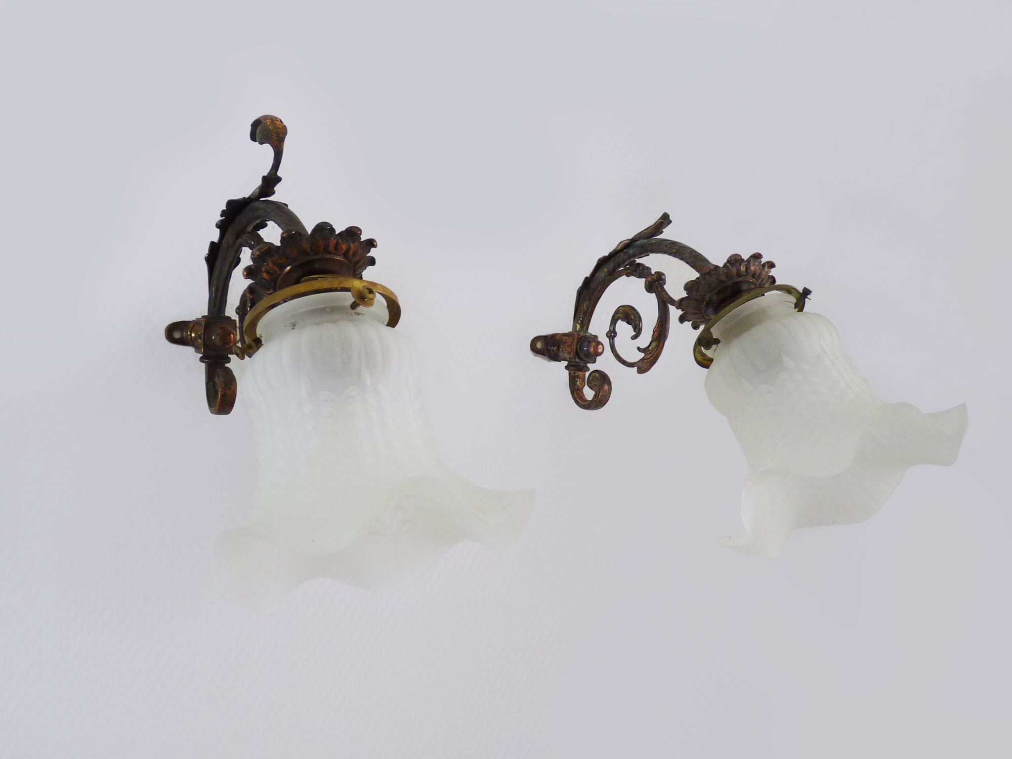 Pair of brass swan collar wall sconces, glass tulips, years 50