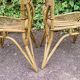 Pair of Van Rohe rattan chairs