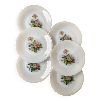 Set of 6 Arcopal Rose de France flat plates