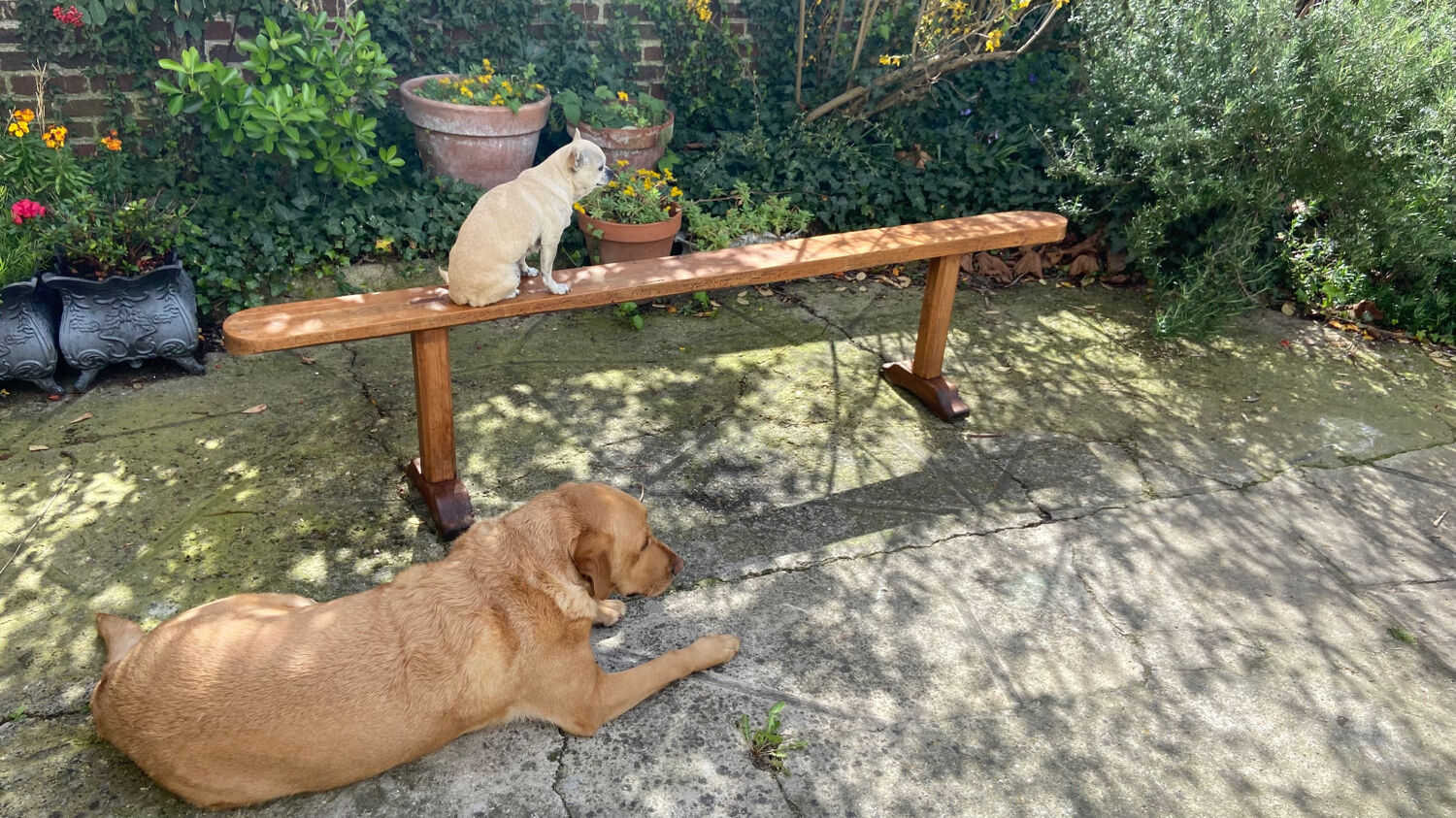 Old farmhouse bench early twentieth century