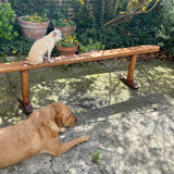 Old farmhouse bench early twentieth century