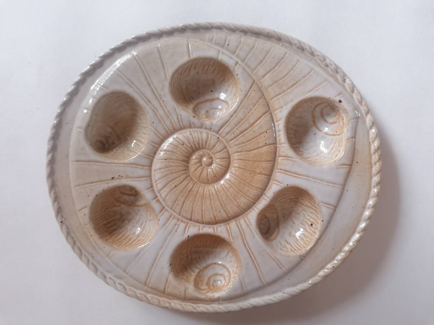 8 snail plates sandstone from the marsh France