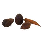 Set of decorative sculpted wooden fruits