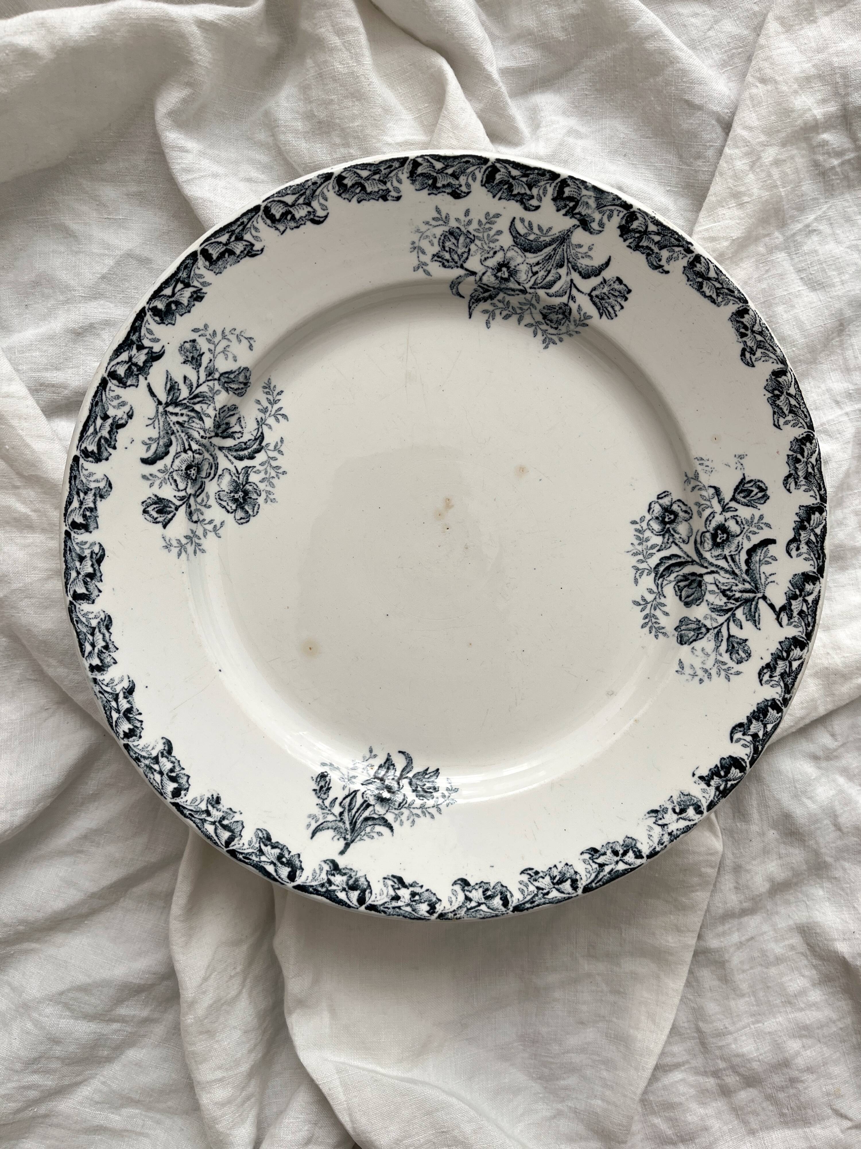 6 flat ironware plates "Albert" AG Clairefontaine