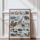 Original plate from 1930: wild and domestic mammals
