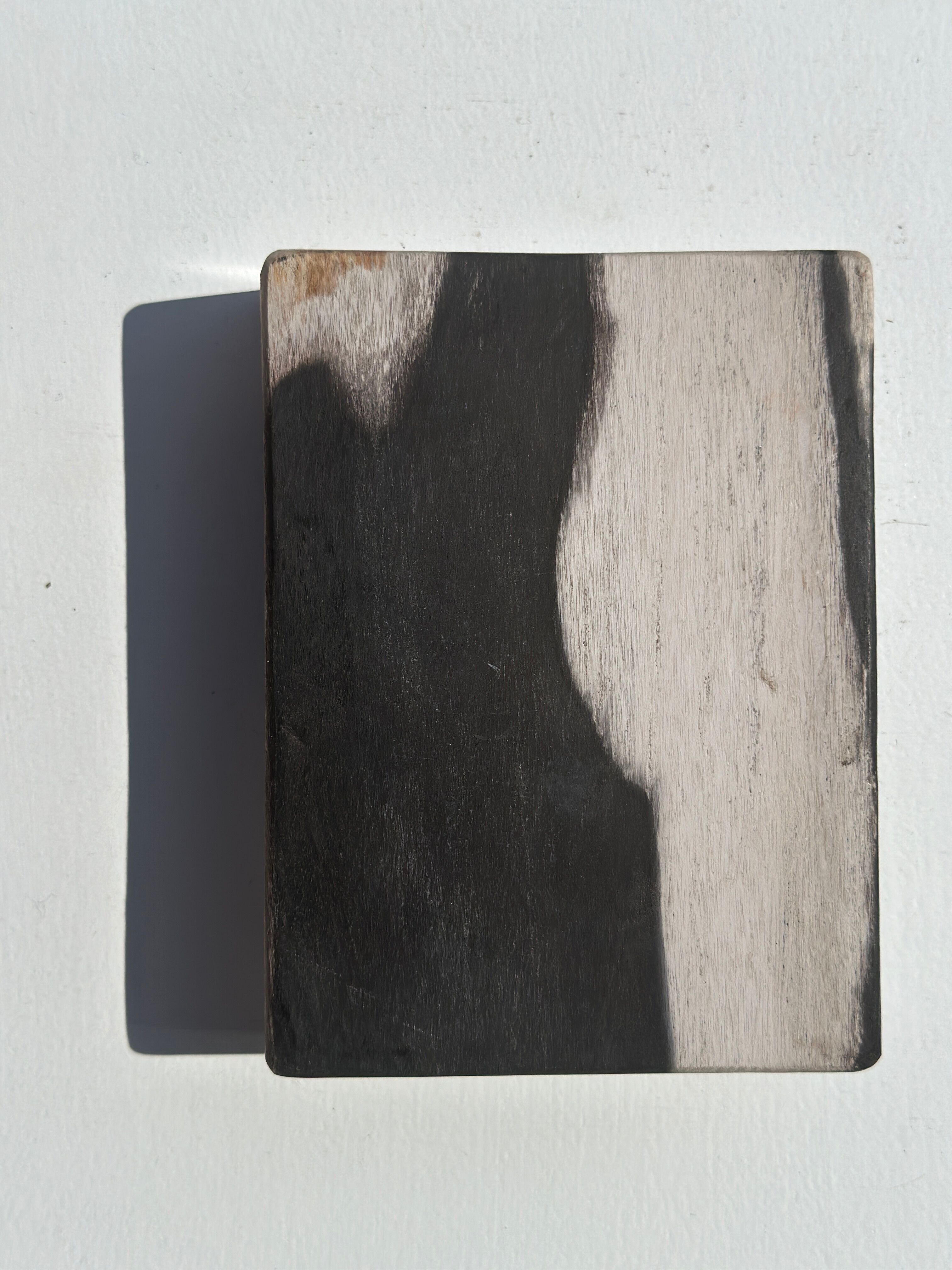 Symmetrical multicolored petrified wood soap dish