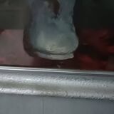 Oil on canvas - floral still life