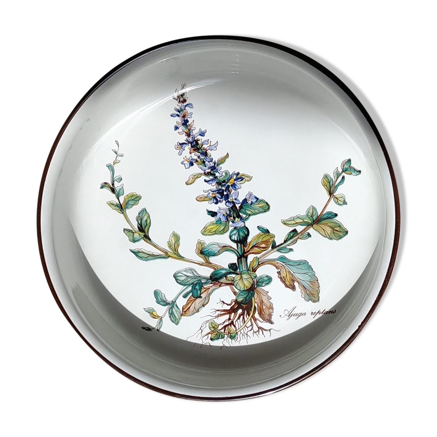 Botanica dish