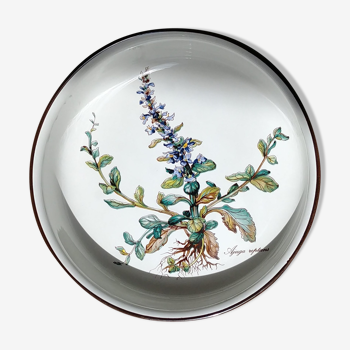 Botanica dish