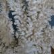 Corail naturel blanc