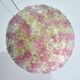 Amazing Pink and Gold Large Size Murano Ceiling Light Flower by Seguso