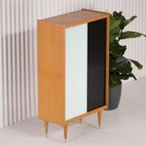 Vintage Scandinavian library - 1960