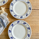 Antique plates