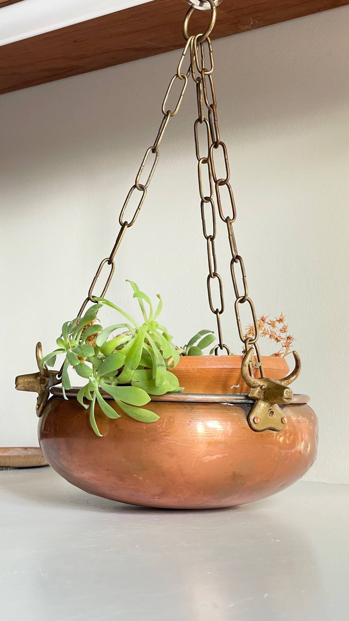 Cache-pot suspendu aux 3 buffles vintage