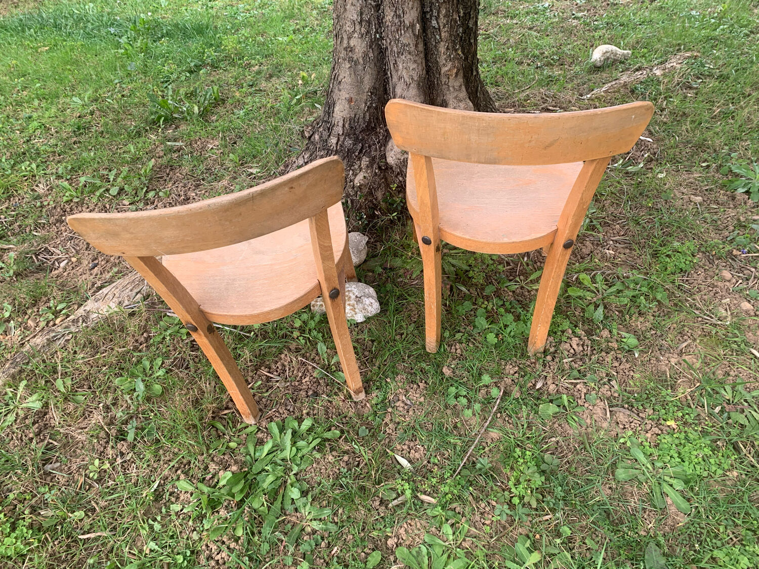 Stella school chairs