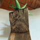 Old oak wall shelves