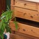 Antique chest of drawers in pitch pine, circa 1900