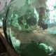 Demijohn xxl 30l viresa